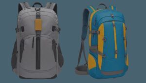 Daypack Or Hiking Backpack